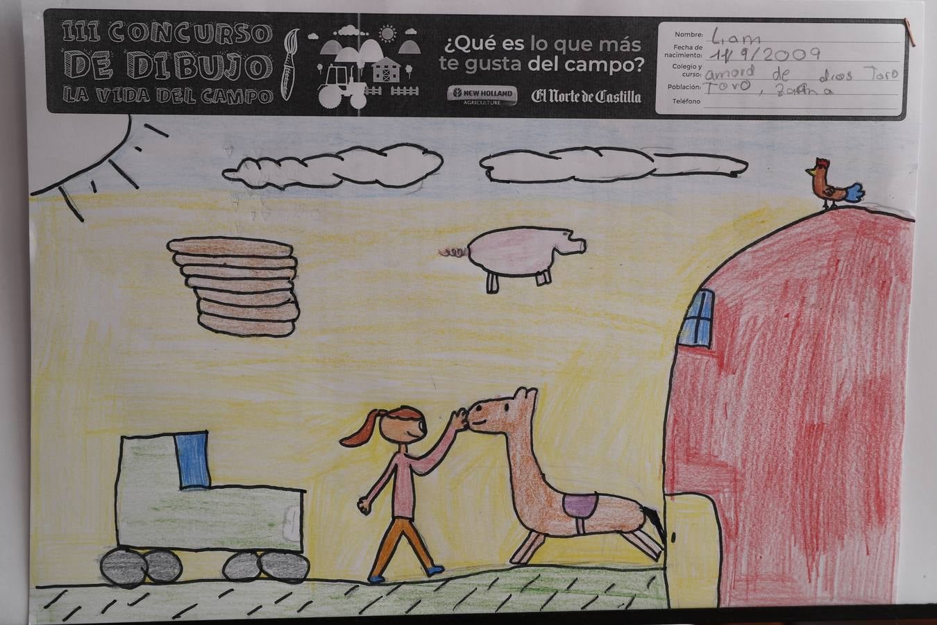 Fotos: Trabajos de 4º de Primaria en la modalidad de dibujo del III Concurso de Dibujo y Cómic &#039;La vida del campo&#039;