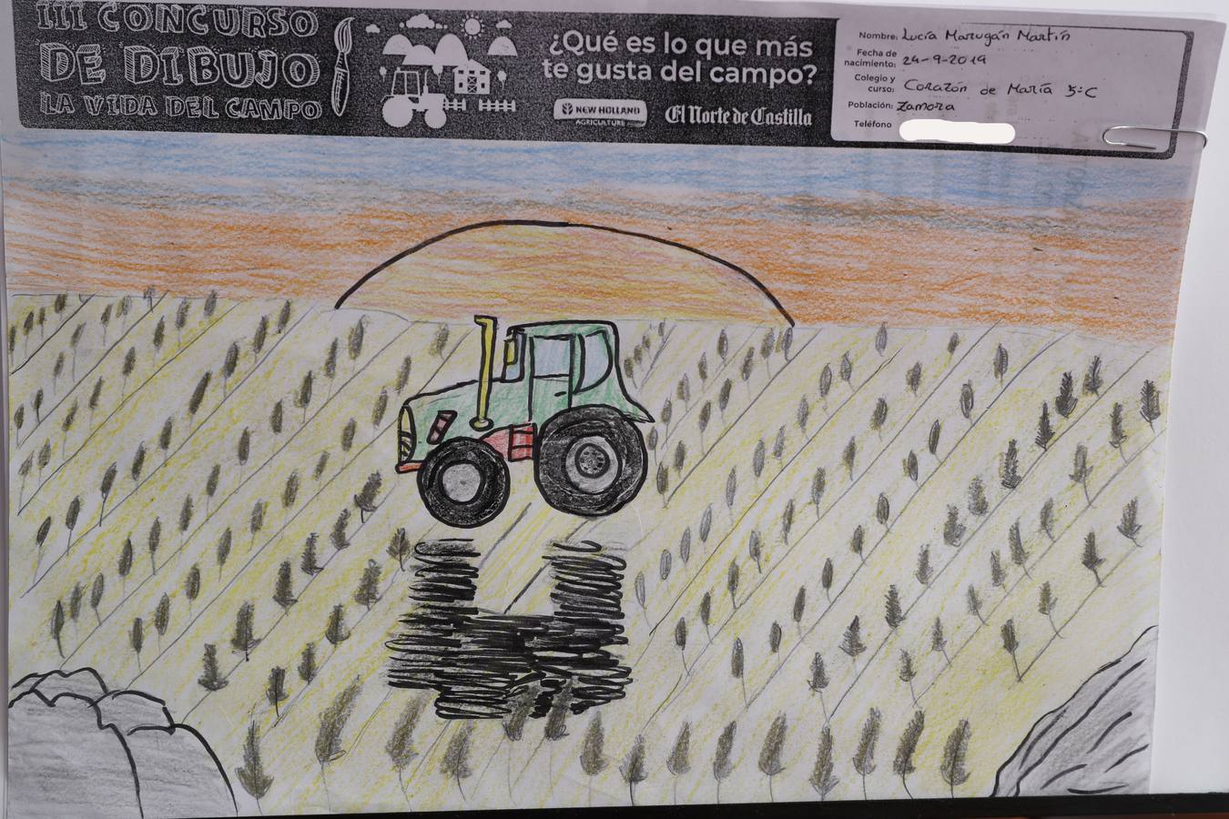 Fotos: Trabajos de 5º de Primaria en la modalidad de dibujo del III Concurso de Dibujo y Cómic &#039;La vida del campo&#039;