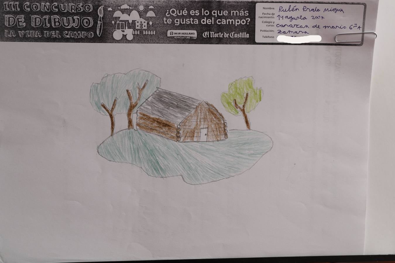 Fotos: Trabajos de 5º de Primaria en la modalidad de dibujo del III Concurso de Dibujo y Cómic &#039;La vida del campo&#039;