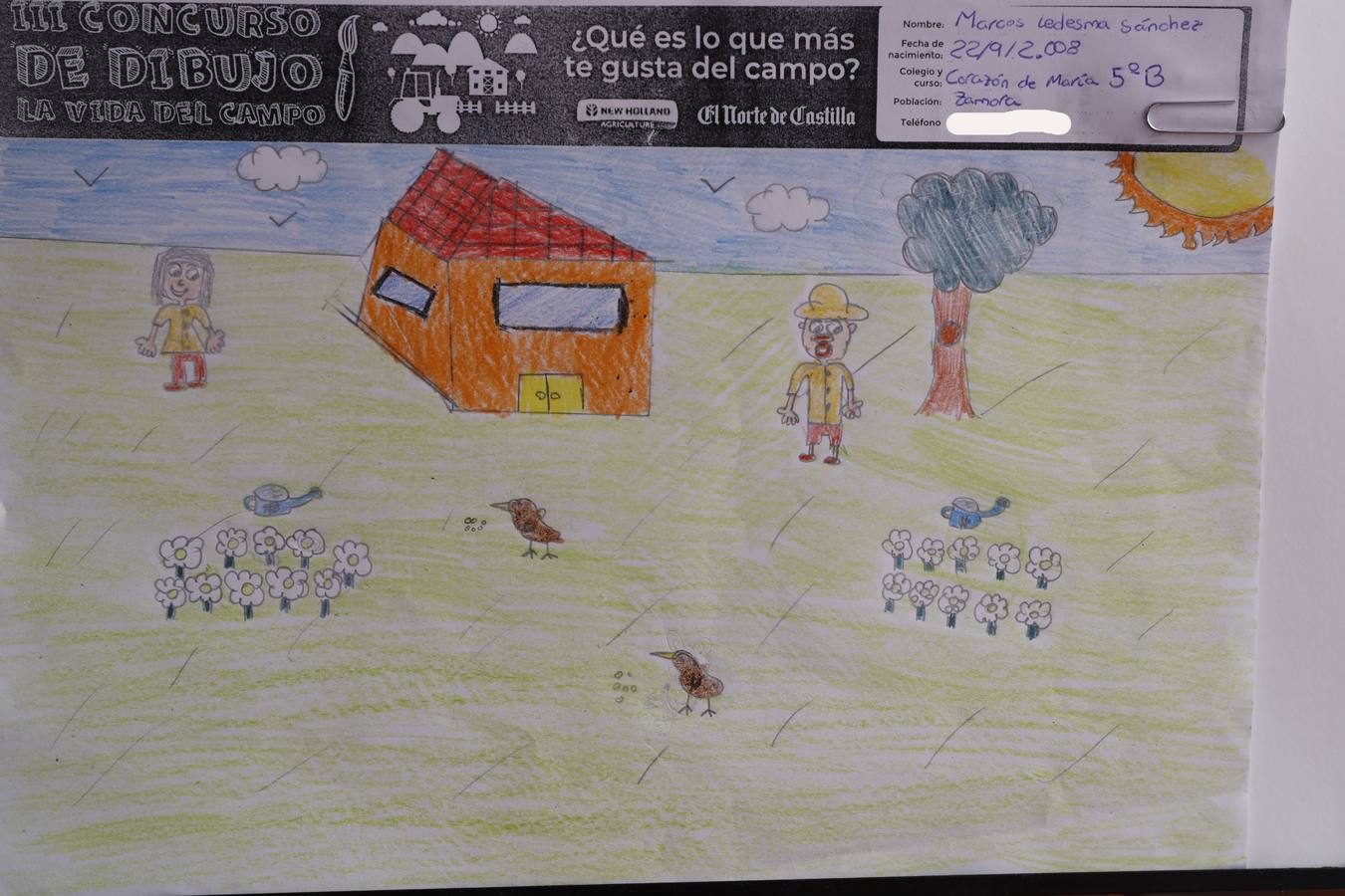 Fotos: Trabajos de 5º de Primaria en la modalidad de dibujo del III Concurso de Dibujo y Cómic &#039;La vida del campo&#039;