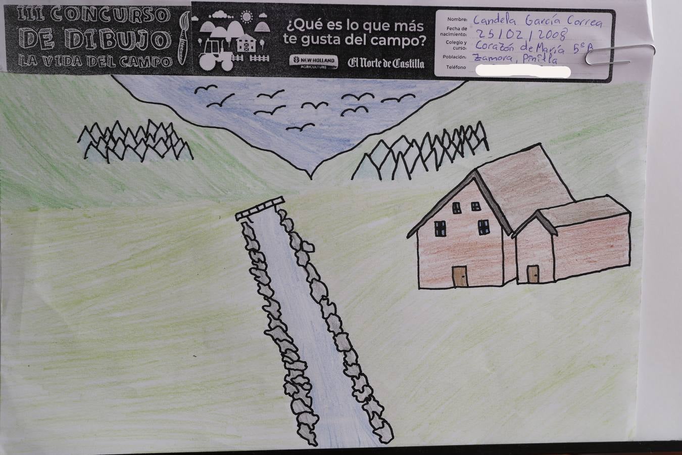 Fotos: Trabajos de 5º de Primaria en la modalidad de dibujo del III Concurso de Dibujo y Cómic &#039;La vida del campo&#039;