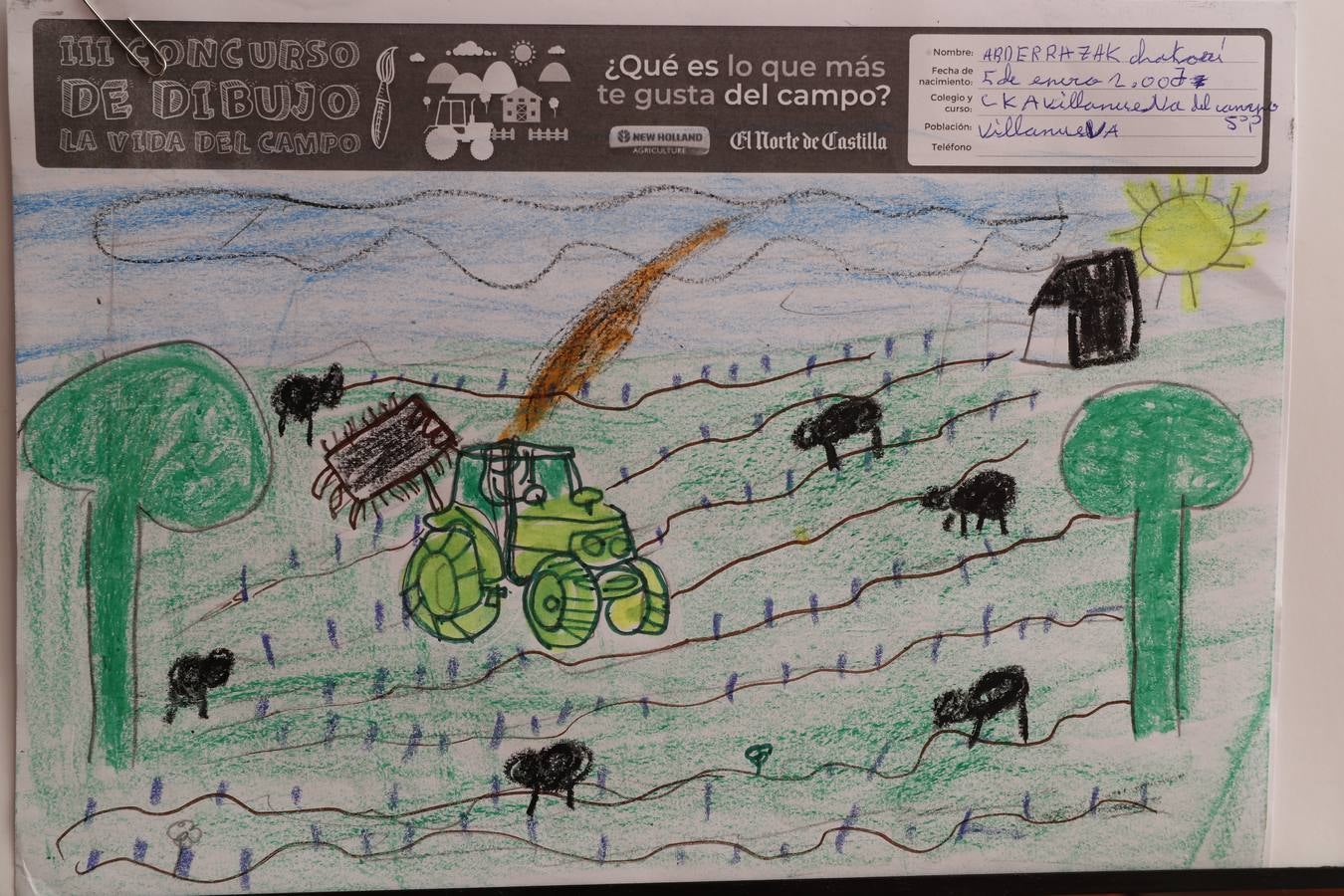 Fotos: Trabajos de 5º de Primaria en la modalidad de dibujo del III Concurso de Dibujo y Cómic &#039;La vida del campo&#039;