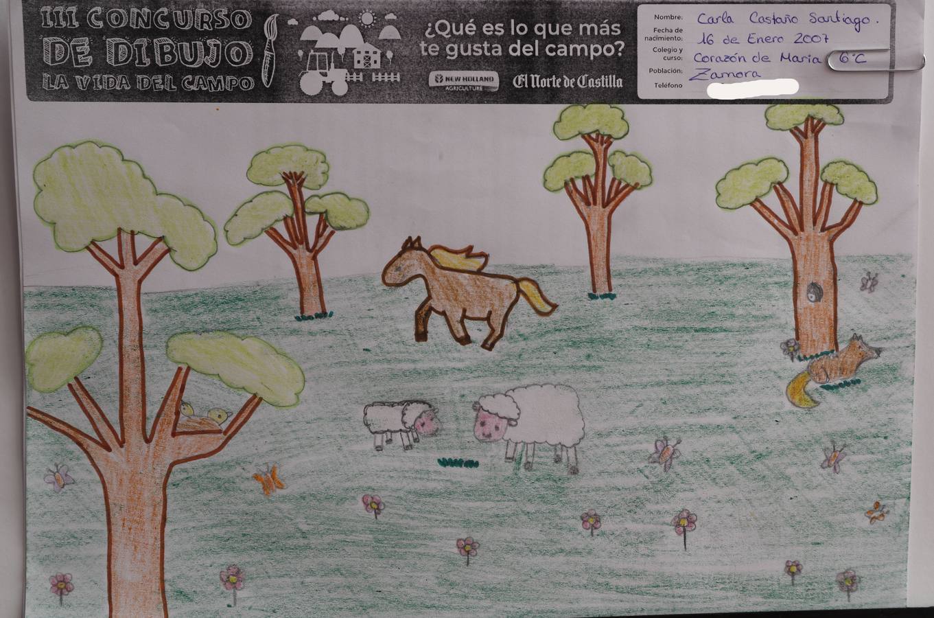 Fotos: Trabajos de 6º de Primaria en la modalidad de dibujo del III Concurso de Dibujo y Cómic &#039;La vida del campo&#039;