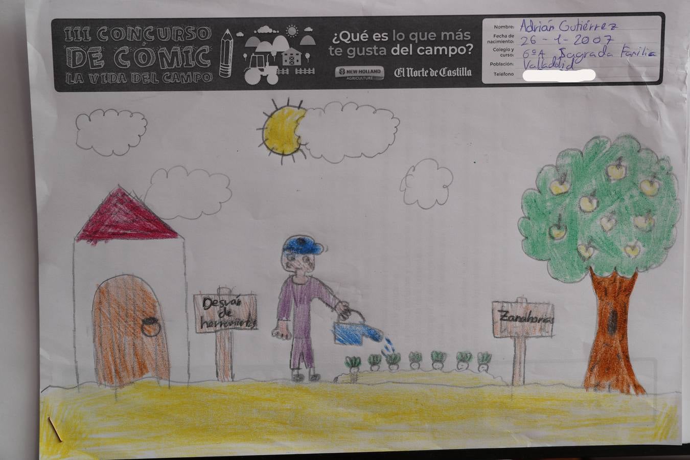 Fotos: Trabajos de 6º de Primaria en la modalidad de dibujo del III Concurso de Dibujo y Cómic &#039;La vida del campo&#039;