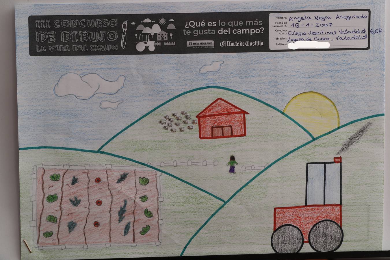 Fotos: Trabajos de 6º de Primaria en la modalidad de dibujo del III Concurso de Dibujo y Cómic &#039;La vida del campo&#039;