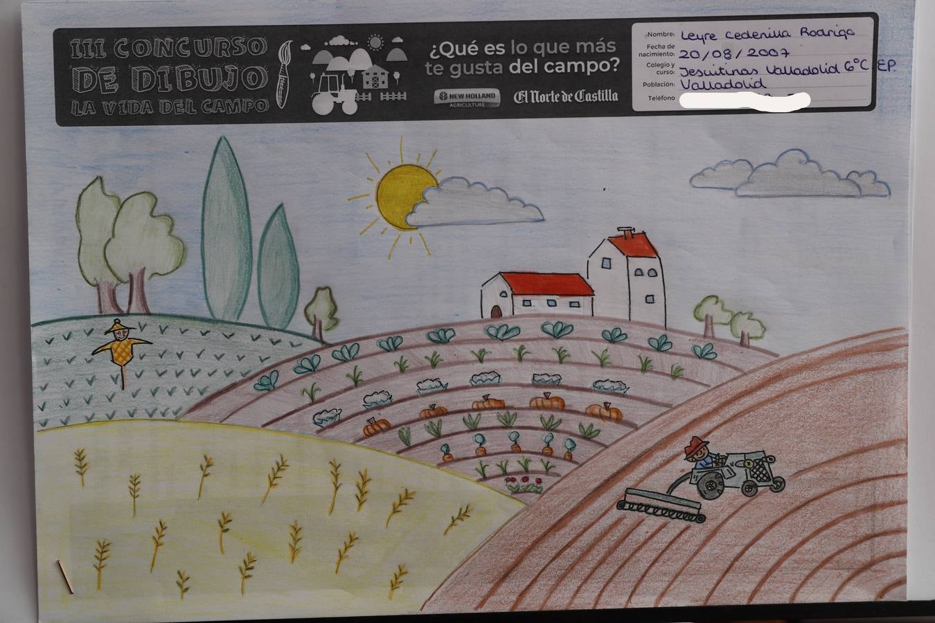 Fotos: Trabajos de 6º de Primaria en la modalidad de dibujo del III Concurso de Dibujo y Cómic &#039;La vida del campo&#039;