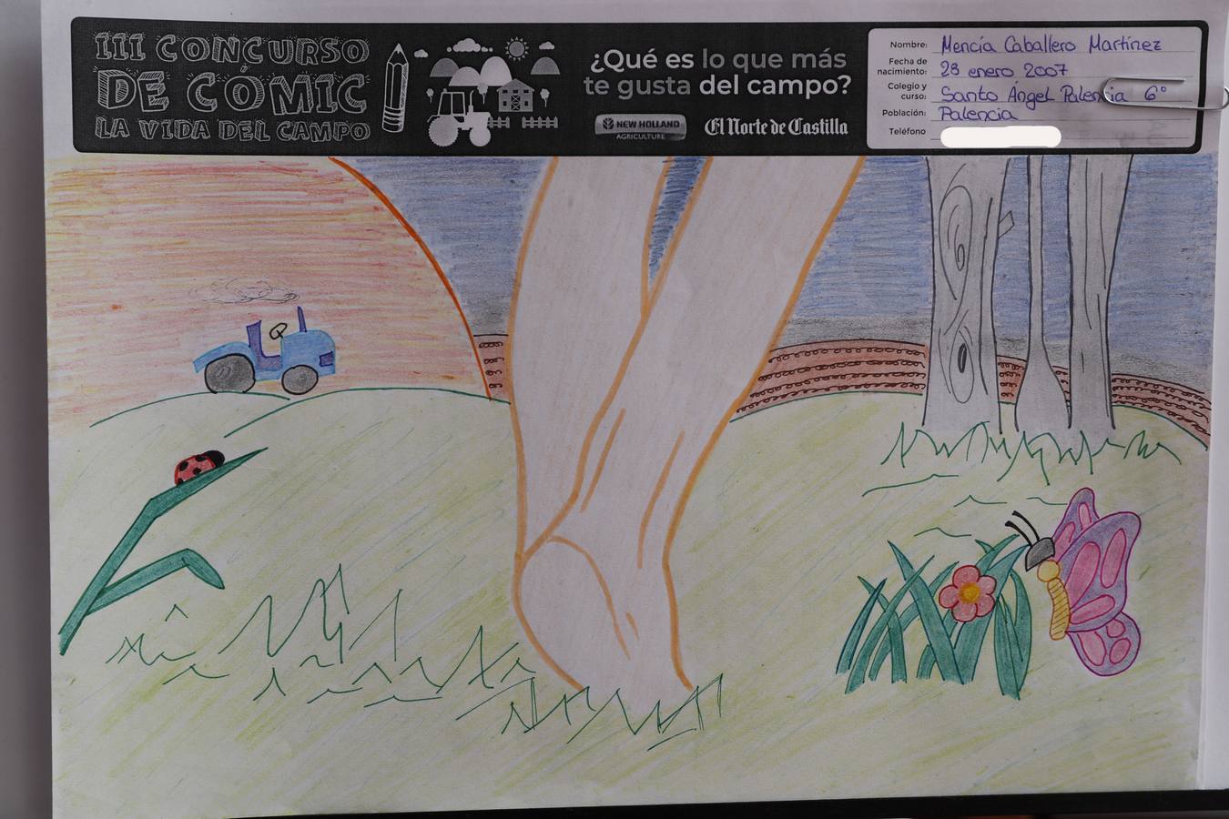 Fotos: Trabajos de 6º de Primaria en la modalidad de dibujo del III Concurso de Dibujo y Cómic &#039;La vida del campo&#039;