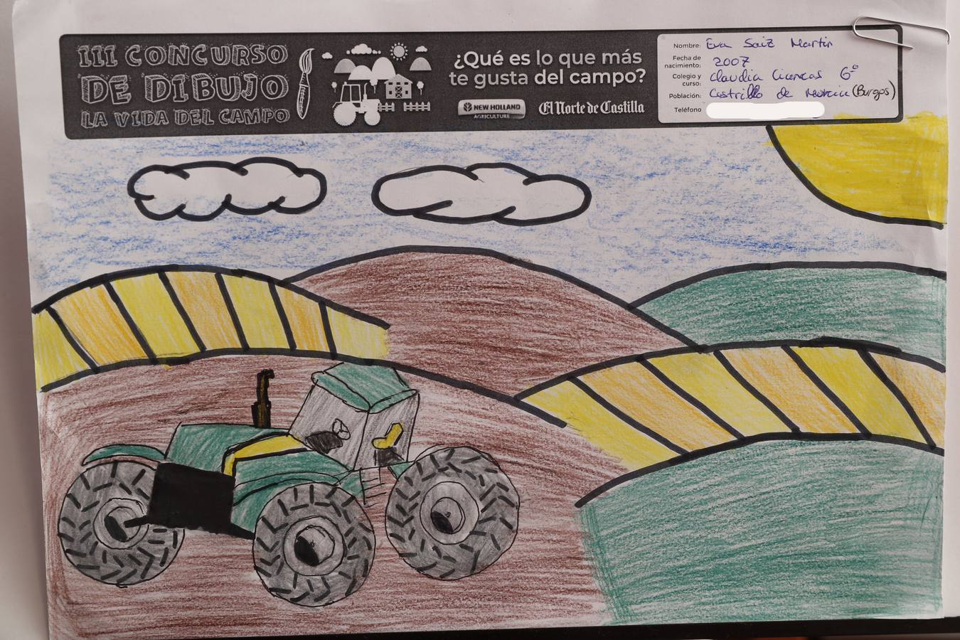 Fotos: Trabajos de 6º de Primaria en la modalidad de dibujo del III Concurso de Dibujo y Cómic &#039;La vida del campo&#039;