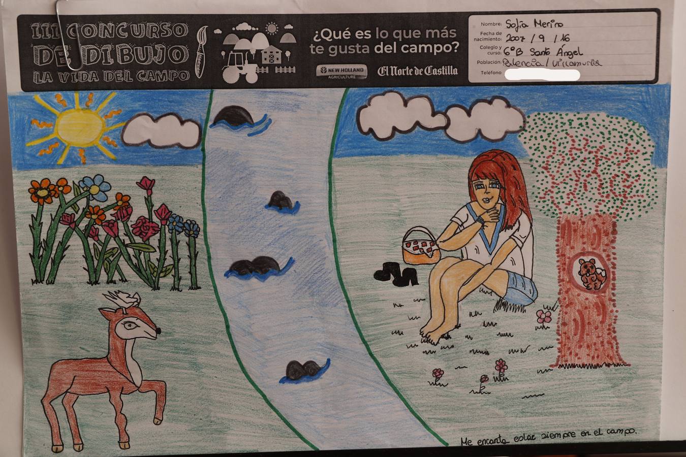 Fotos: Trabajos de 6º de Primaria en la modalidad de dibujo del III Concurso de Dibujo y Cómic &#039;La vida del campo&#039;