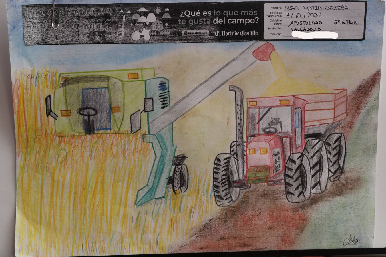 Fotos: Trabajos de 6º de Primaria en la modalidad de dibujo del III Concurso de Dibujo y Cómic &#039;La vida del campo&#039;