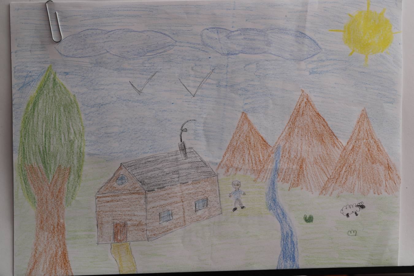 Fotos: Trabajos de 6º de Primaria en la modalidad de dibujo del III Concurso de Dibujo y Cómic &#039;La vida del campo&#039;