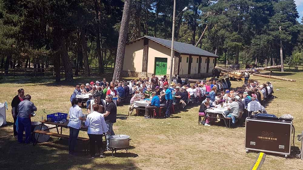 Fiesta del ajo carretero en Quintanar de la Sierra. 