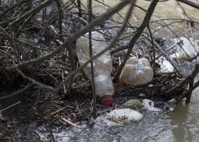 Imagen secundaria 1 - Metales, botellas o un váter fueron encontrados y retirados en las diferentes batidas de limpieza. 