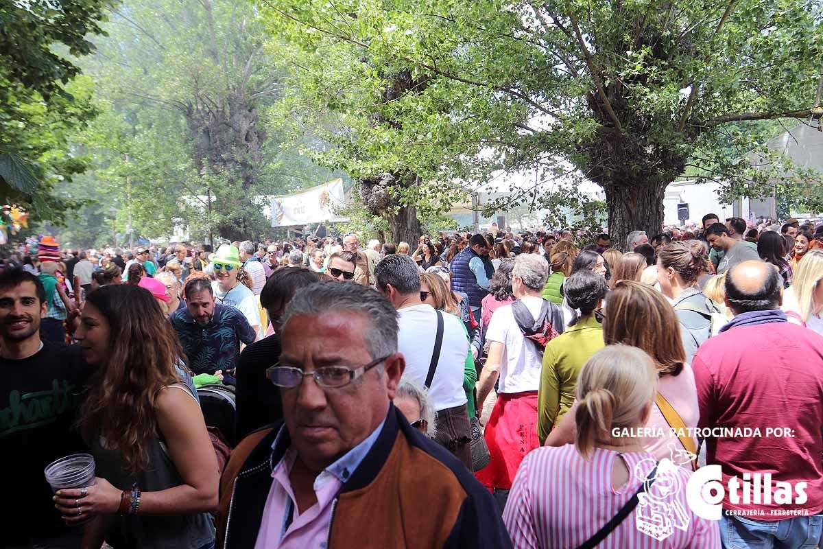 La mañana amanecía nublada y húmeda pero el día ha levantado y el Parque del Parral se ha llenado de burgaleses y amigos para celebrar la Festividad del Curpillos entre las carpas de las peñas