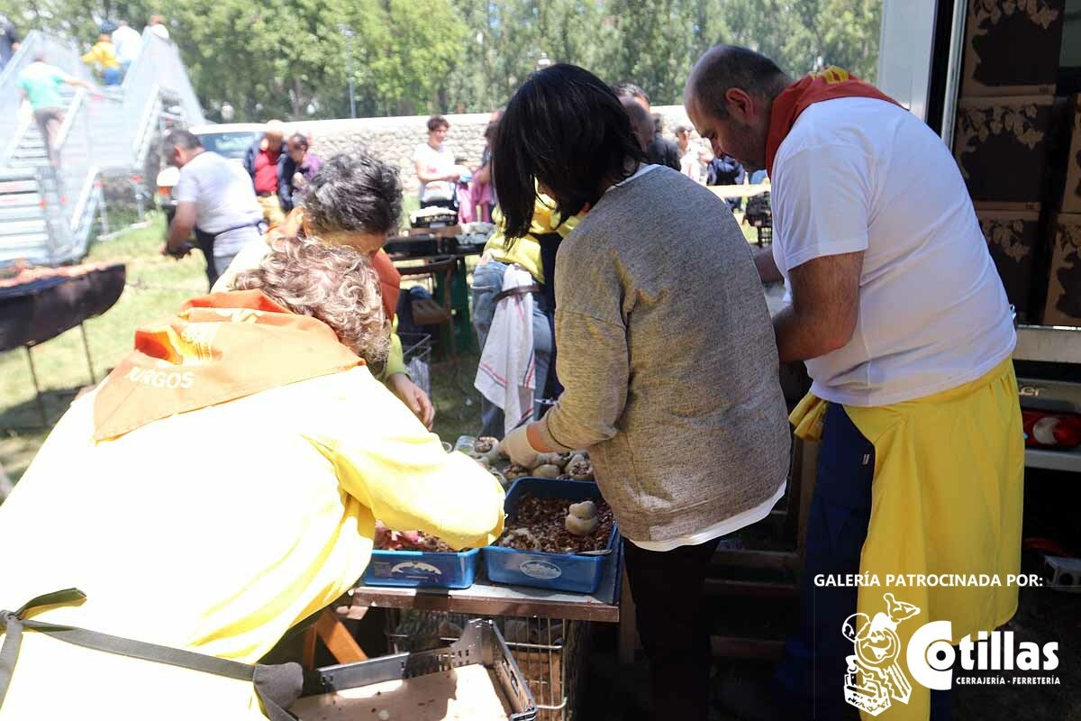 La mañana amanecía nublada y húmeda pero el día ha levantado y el Parque del Parral se ha llenado de burgaleses y amigos para celebrar la Festividad del Curpillos entre las carpas de las peñas