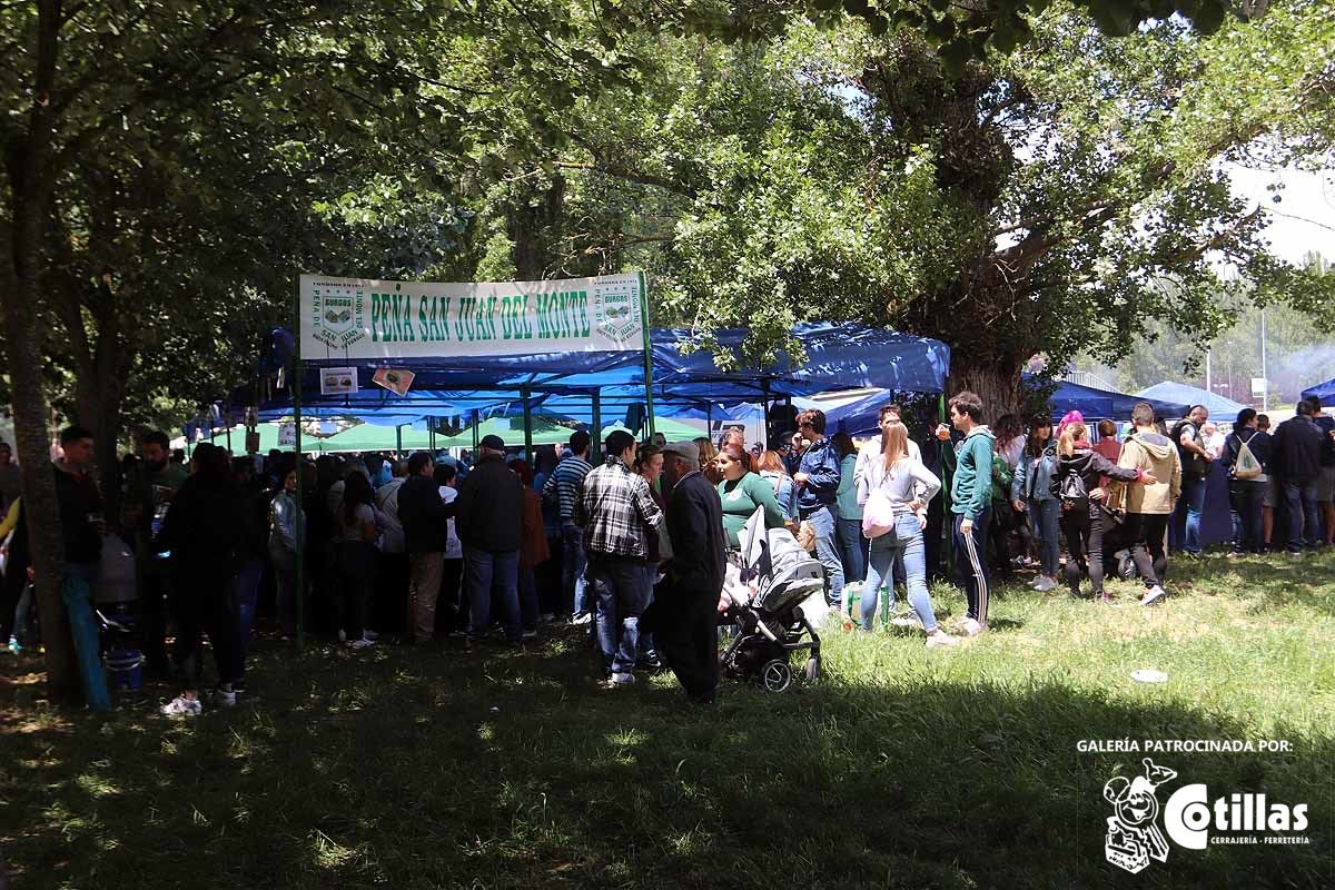 La mañana amanecía nublada y húmeda pero el día ha levantado y el Parque del Parral se ha llenado de burgaleses y amigos para celebrar la Festividad del Curpillos entre las carpas de las peñas