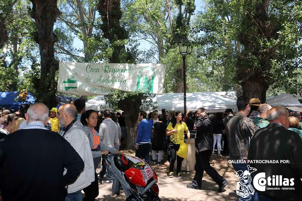 La mañana amanecía nublada y húmeda pero el día ha levantado y el Parque del Parral se ha llenado de burgaleses y amigos para celebrar la Festividad del Curpillos entre las carpas de las peñas