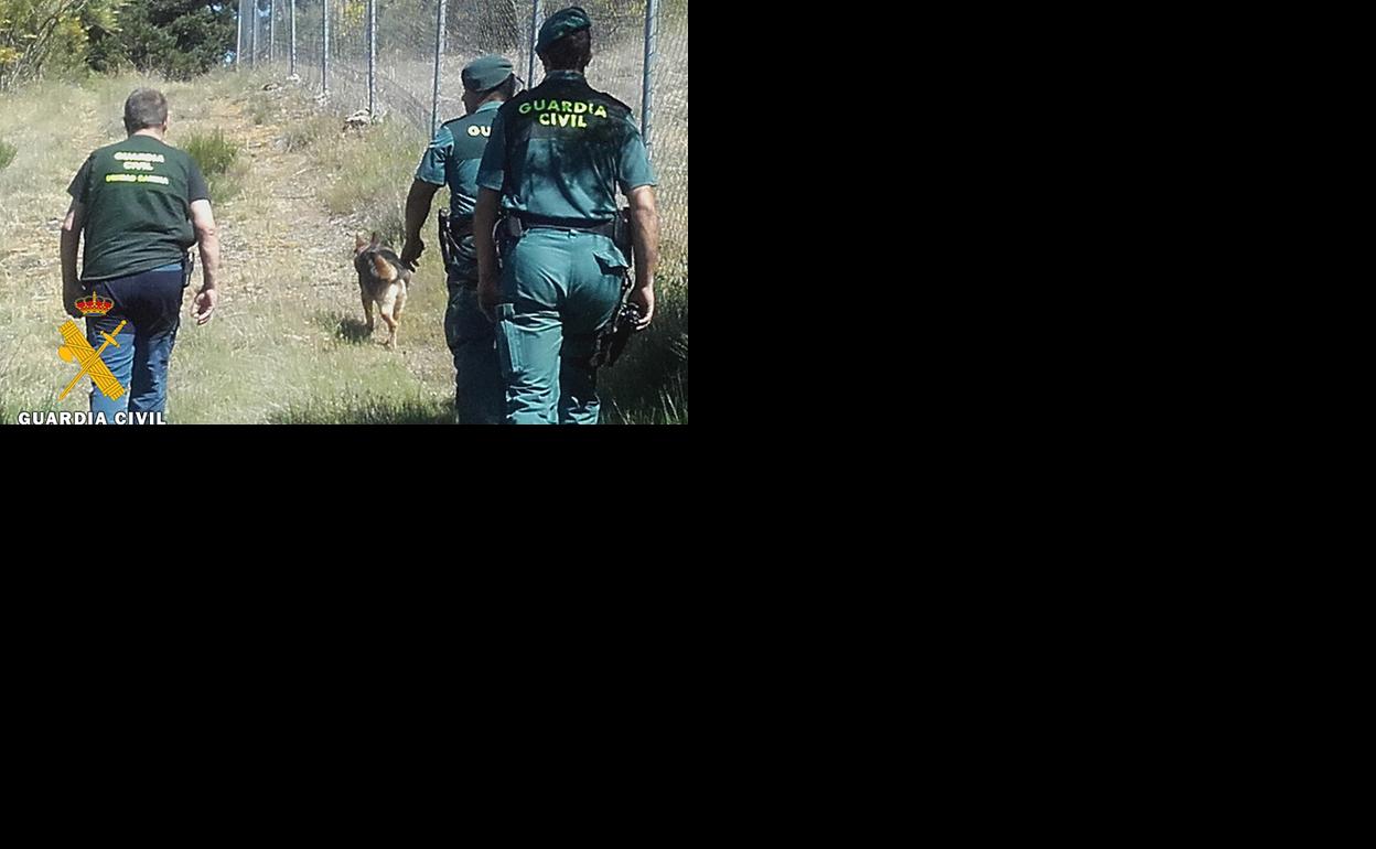 El guía junto a su perro y dos agentes de Seprona inspeccionan la zona. 