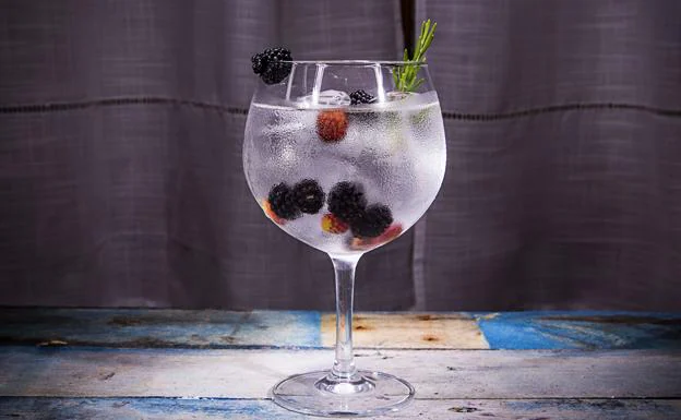 La ruta del gintonic, en Burgos