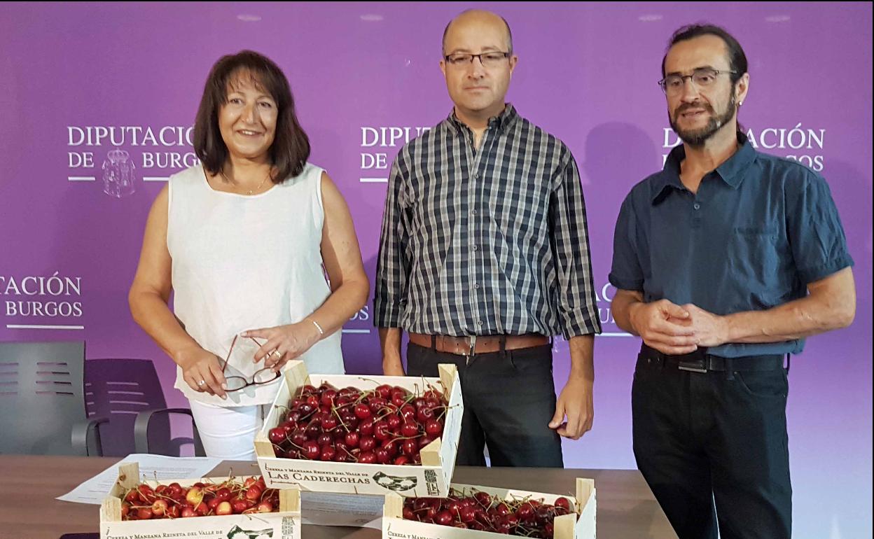 La merma de la producción no afecta a la calidad de la cereza de Caderechas este 2019. 