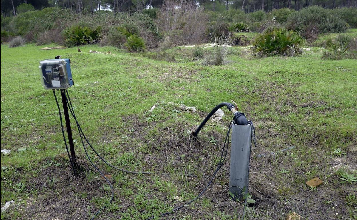 Imagen de uno de los pozos ilegales en el parque de Doñana.