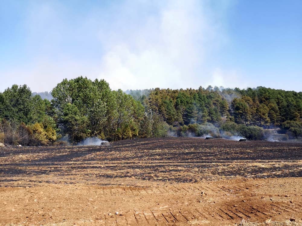 La empacadora que ha producido el incendio ha quedado calcinada