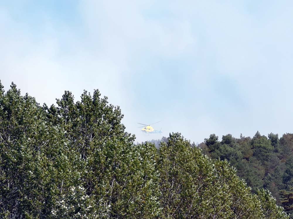 La empacadora que ha producido el incendio ha quedado calcinada