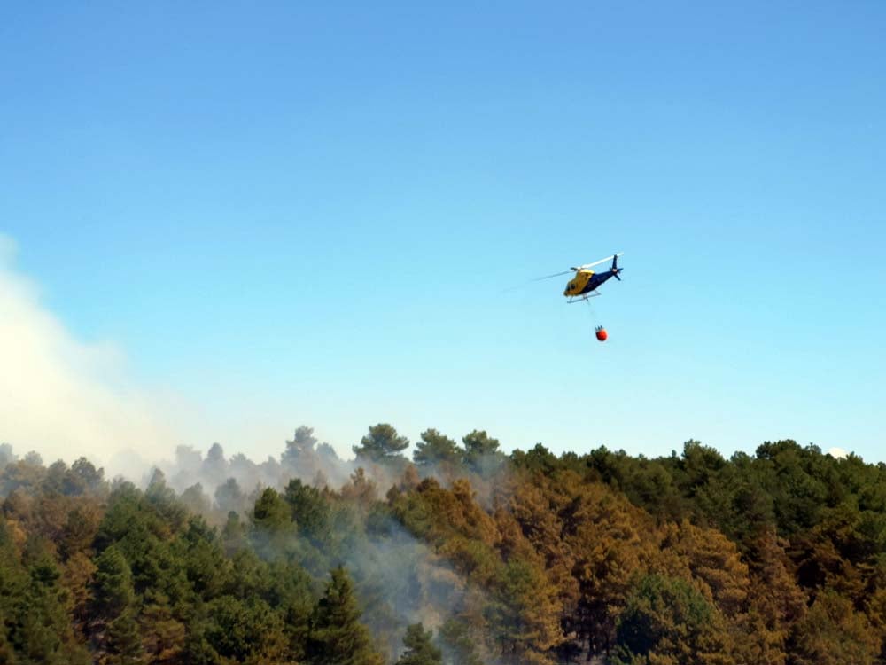 La empacadora que ha producido el incendio ha quedado calcinada