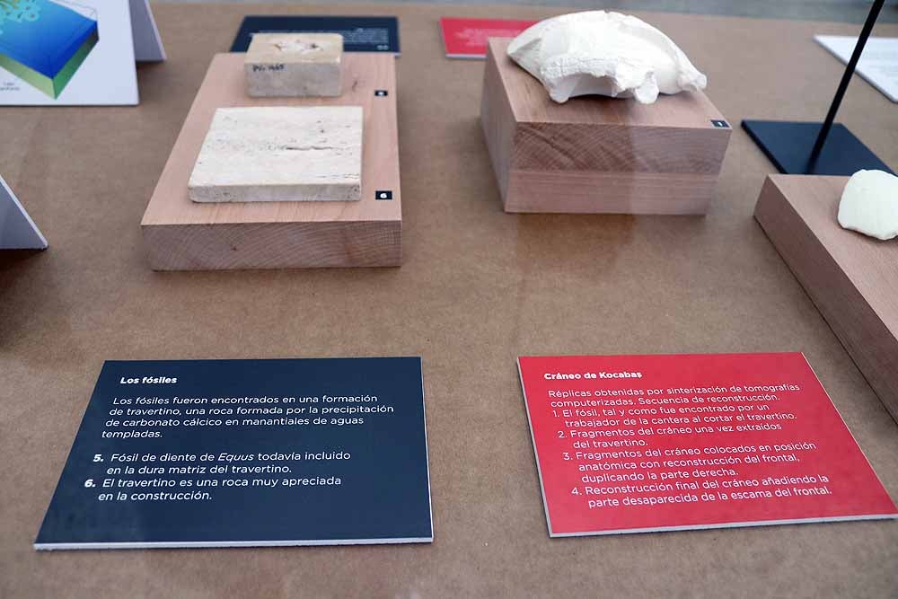 Esta exposición se encuentra en el MEH hasta el mes de septiembre