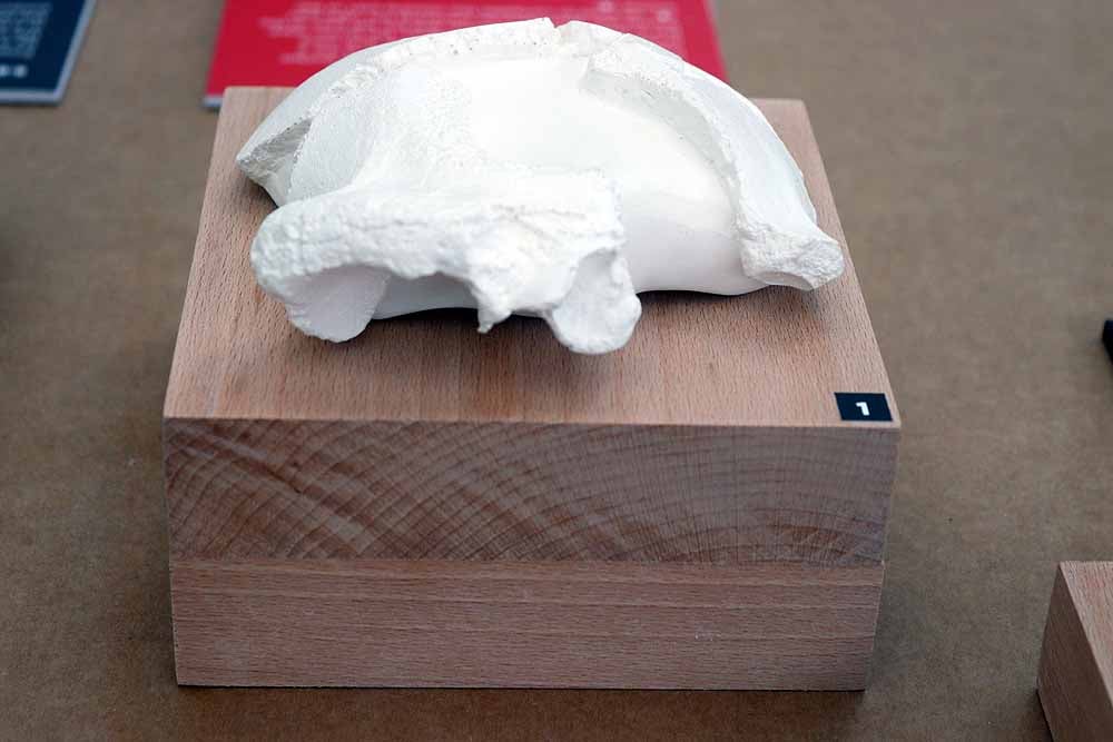 Esta exposición se encuentra en el MEH hasta el mes de septiembre