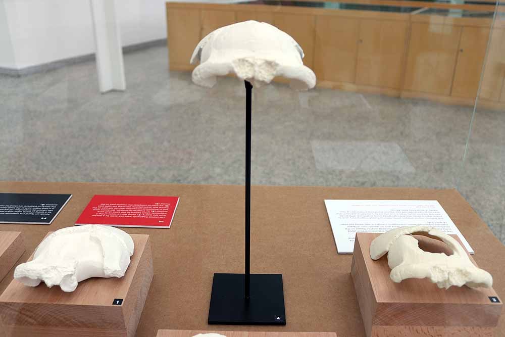 Esta exposición se encuentra en el MEH hasta el mes de septiembre