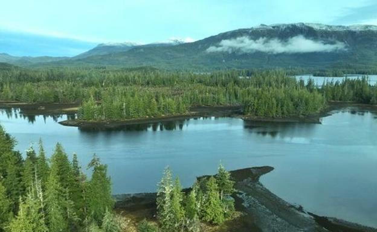 Bosque Nacional Tongass, situado al suroeste del estado de Alaska. 