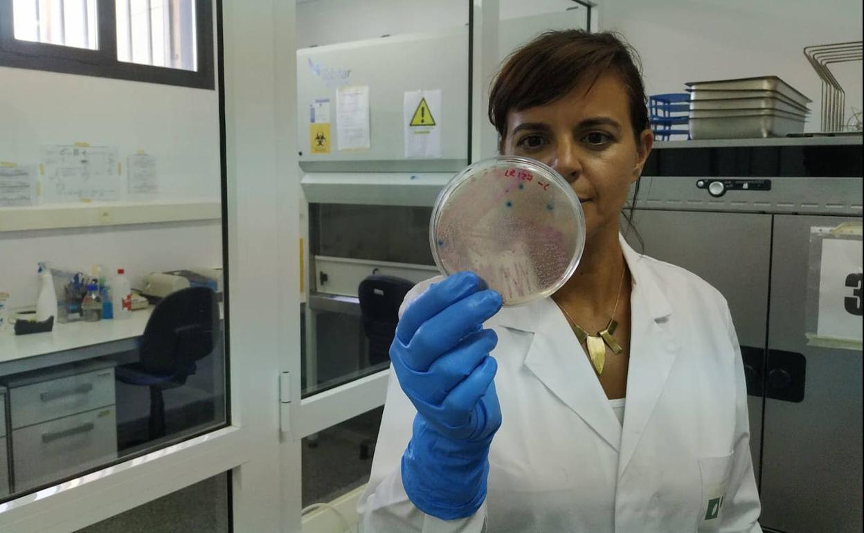 Ana García, investigadora del centro de calidad de los alimentos de Soria e investigadora del grupo de trabajo listeria cero. 