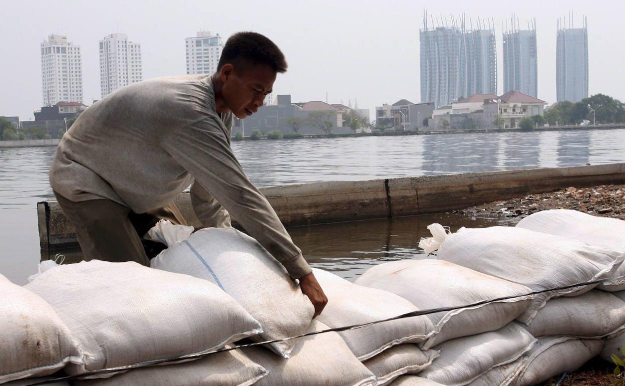Un hombre coloca sacos de arena en un dique para reforzarlo, el 31 de mayo de 2008, en el norte de Yakarta (Indonesia). 