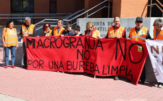 Imagen principal - Protestas en Burgos contra la macrogranja porcina que se quiere construir en Llano de Bureba. 