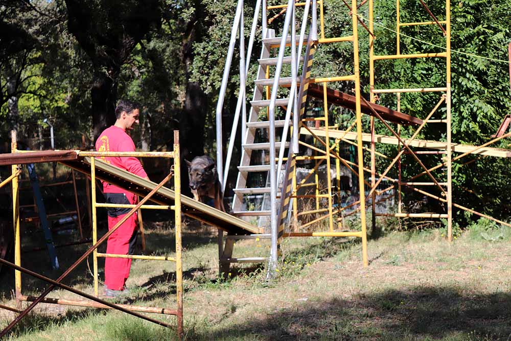 Burgos acoge al GREM, Grupo de Rescate Espeleológico y de Motañana con su Unidad Canina de Salvamento, compuesta por dieciséis voluntarios