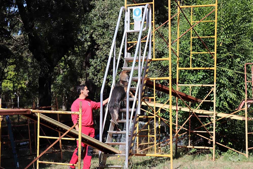 Burgos acoge al GREM, Grupo de Rescate Espeleológico y de Motañana con su Unidad Canina de Salvamento, compuesta por dieciséis voluntarios