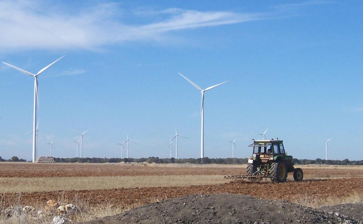 Las energías renovables son algunas de las propuestas que realizan aportaciones de calado para conseguir que la Transición Ecológica que urge la Humanidad y el conjunto de la Tierra sea una realidad en la próxima década.