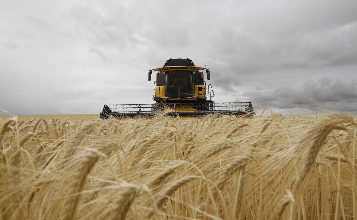 Labores agrícolas en el medio rural. 