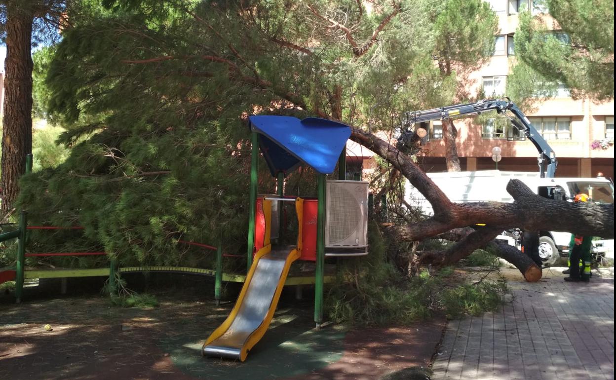 El árbol ha caído sobre una zona de juegos infantiles. 