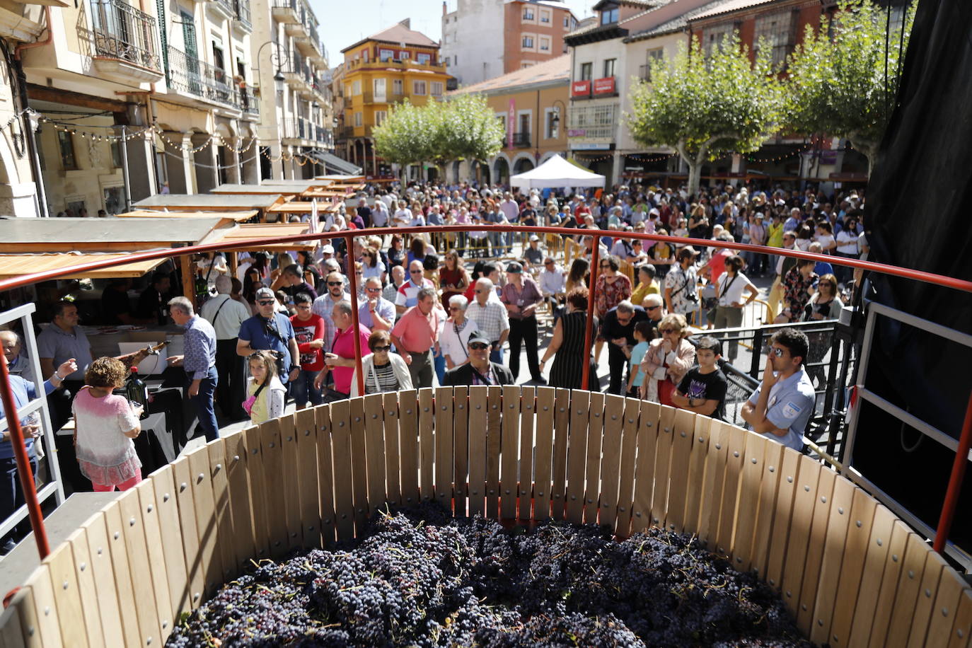 Aranda de Duero ha festejado hoy la Fiesta de la Vendimia. 