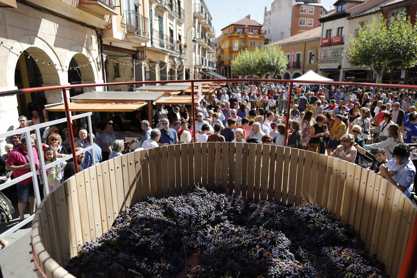 Aranda de Duero ha festejado hoy la Fiesta de la Vendimia. 