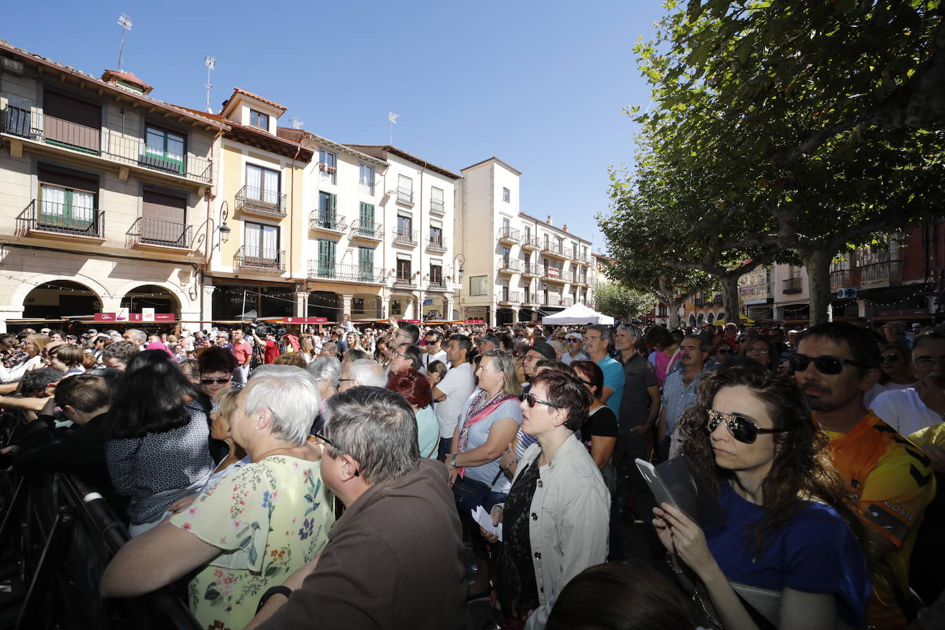 Aranda de Duero ha celebrado hoy la Fiesta de la Vendimia. 