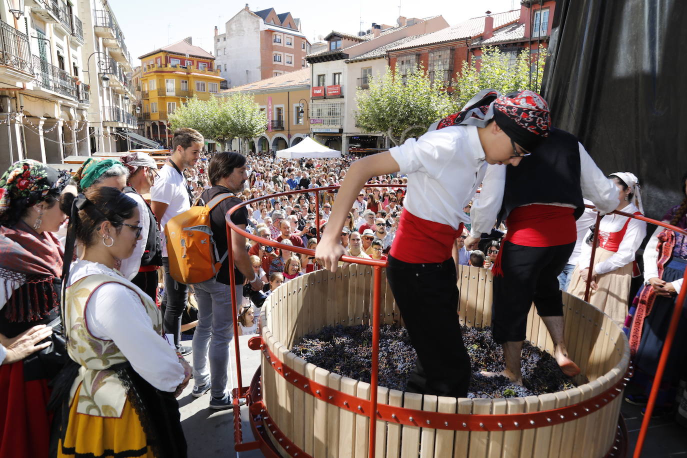 Aranda de Duero ha celebrado hoy la Fiesta de la Vendimia. 