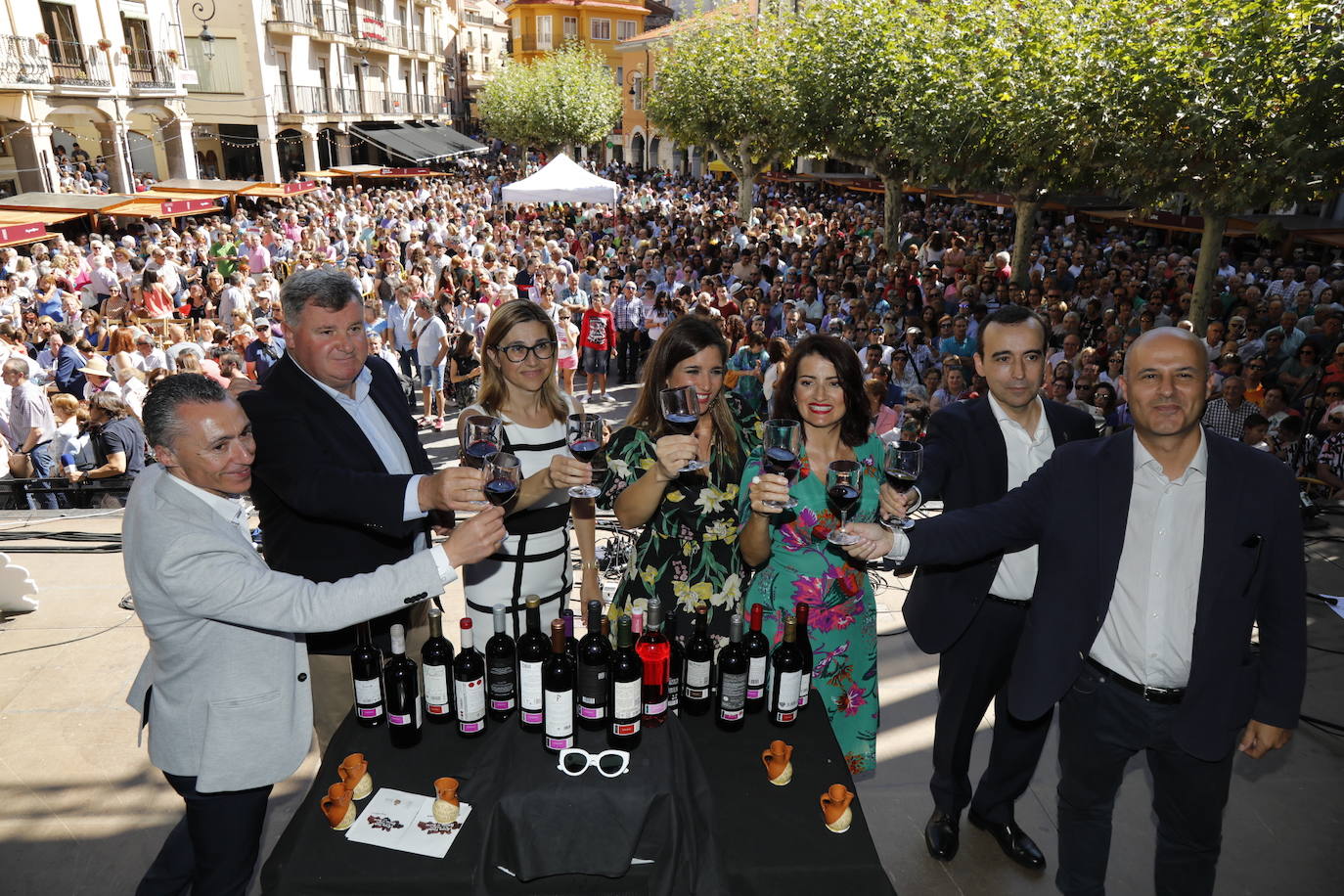 Aranda de Duero ha celebrado hoy la Fiesta de la Vendimia. 