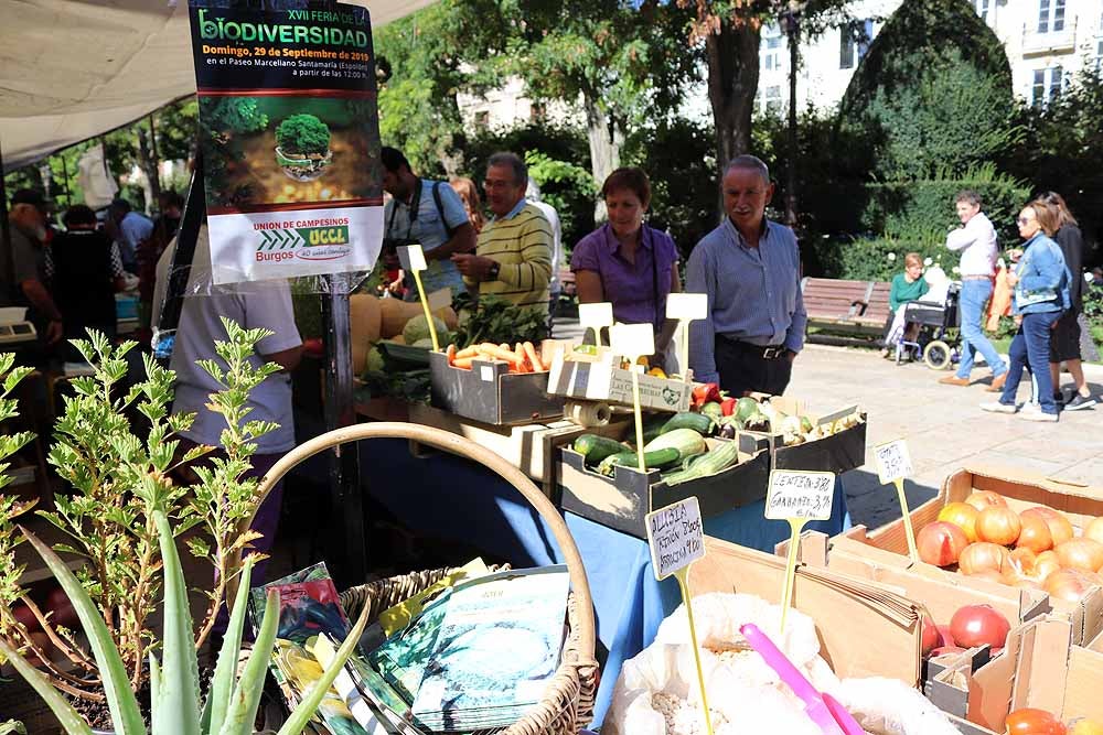 UCCL organiza la XVII Feria de la Biodiversidad en el Paseo Marceliano Santamaría con una veintena de expositores