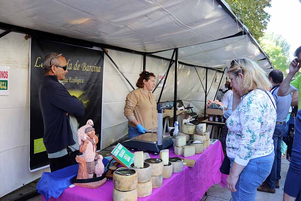 UCCL organiza la XVII Feria de la Biodiversidad en el Paseo Marceliano Santamaría con una veintena de expositores