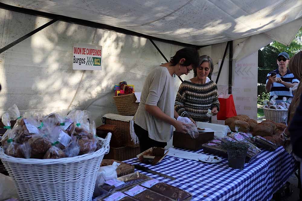 UCCL organiza la XVII Feria de la Biodiversidad en el Paseo Marceliano Santamaría con una veintena de expositores