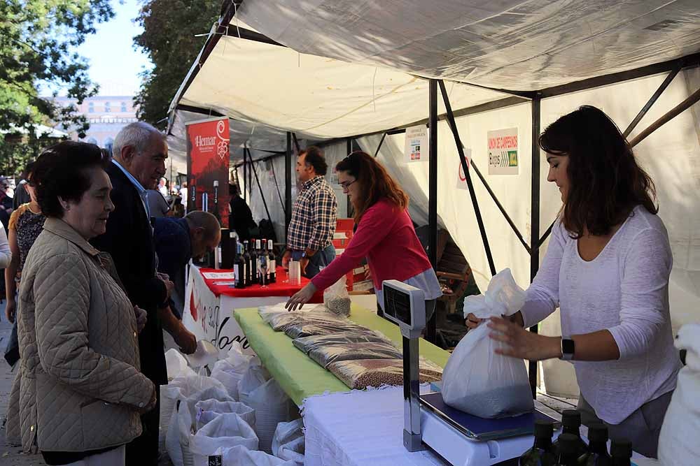 UCCL organiza la XVII Feria de la Biodiversidad en el Paseo Marceliano Santamaría con una veintena de expositores