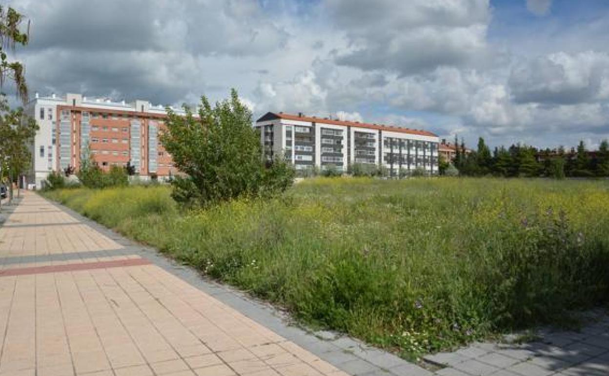 Parcela en la que se construirá el colegio. 